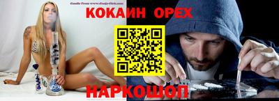 крисы Кулебаки