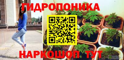 крисы Кулебаки