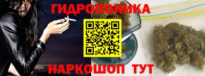 крисы Кулебаки