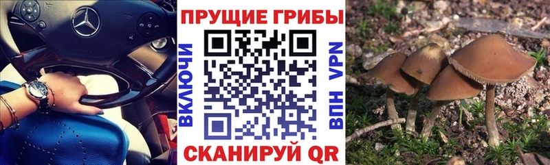 Псилоцибиновые грибы Magic Shrooms  Клин 