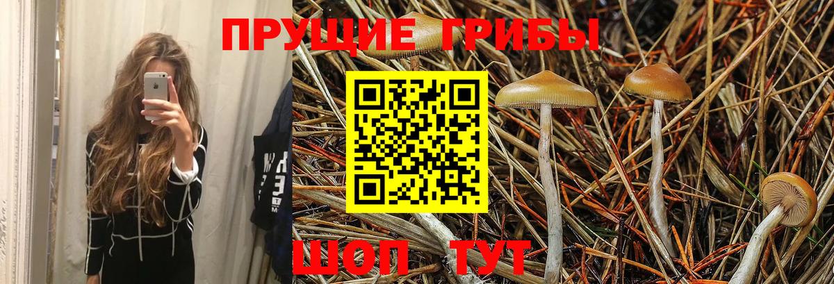 Псилоцибиновые грибы мухоморы Клин
