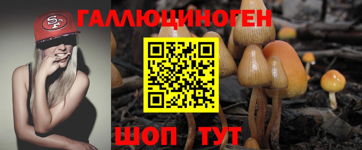 Клин  Галлюциногенные грибы Psilocybe  Вход с VPN 